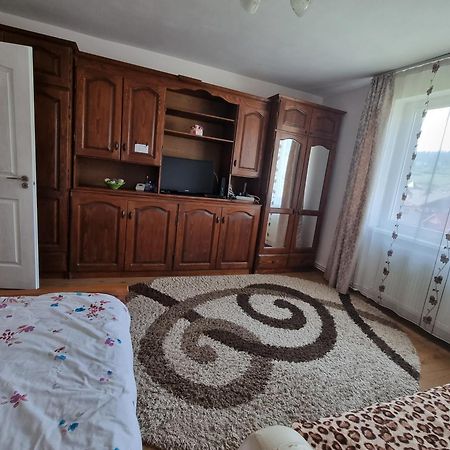 Апартаменти Garsoniera Emilia Кимпулунг-Молдовенеск Екстер'єр фото