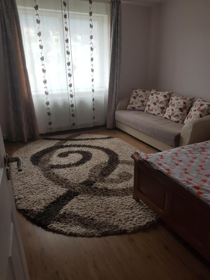 Апартаменти Garsoniera Emilia Кимпулунг-Молдовенеск Екстер'єр фото