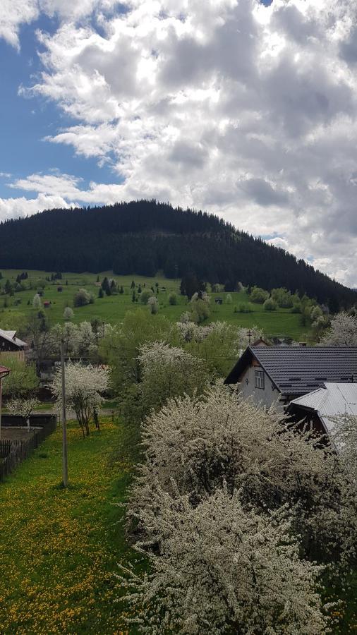 Апартаменти Garsoniera Emilia Кимпулунг-Молдовенеск Екстер'єр фото